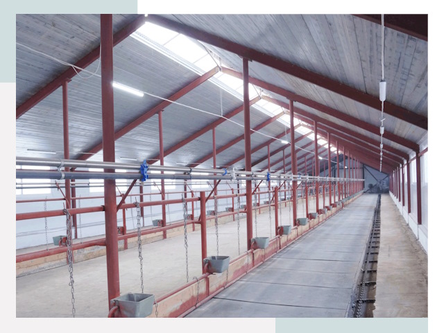 Строительство коровников в Рубцовске от 607 руб.