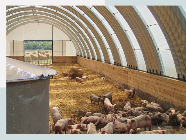 Строительство свинарников в Рубцовске