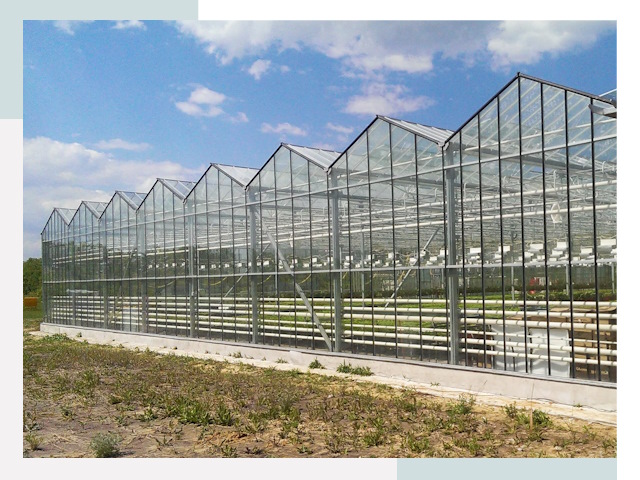 Строительство теплиц в Рубцовск от 607 руб. за м²