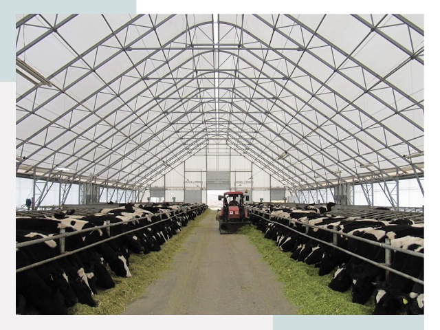 Тентовые коровники в Рубцовске от 607 руб. - Надежно и доступно