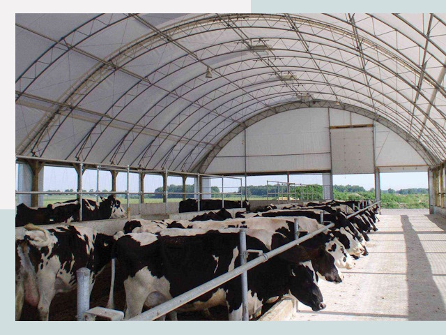 Тентовые коровники в Рубцовске